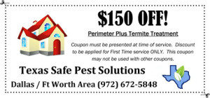 $150-Termite-Coupon