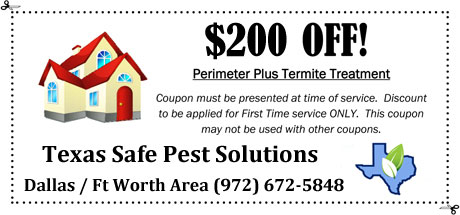 0-Off-termite