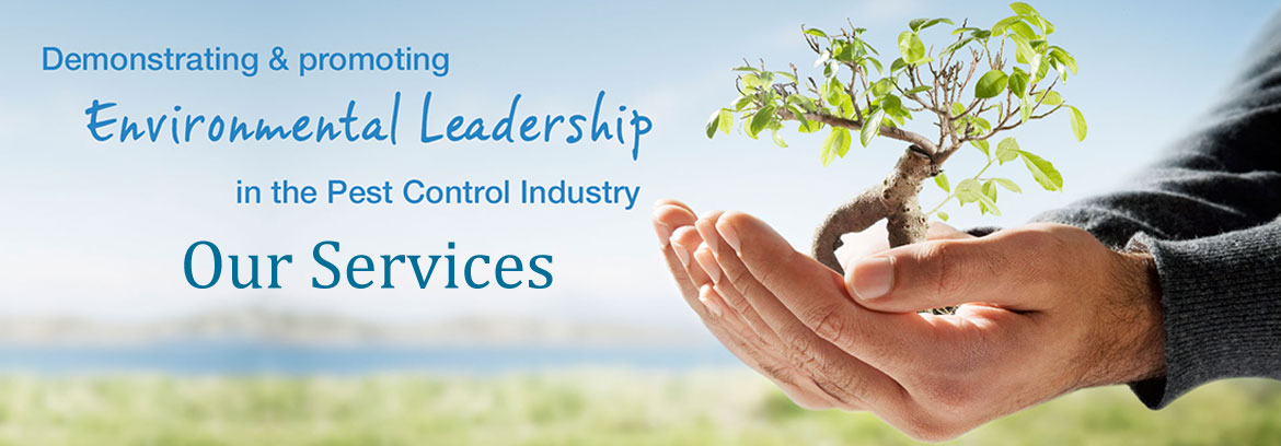 services-banner Services Banner