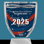 Best of Allen Texas 2025